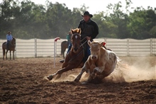 Community Nindigully Campdraft Sally Rigney  Mick Coyne from Texas in the Open Final on Joker